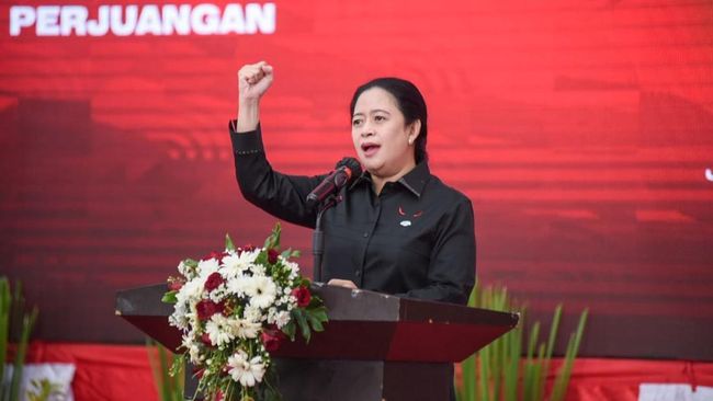 Profil Puan Maharani (PDI-P) Daerah Pemilihan Jawa Tengah V