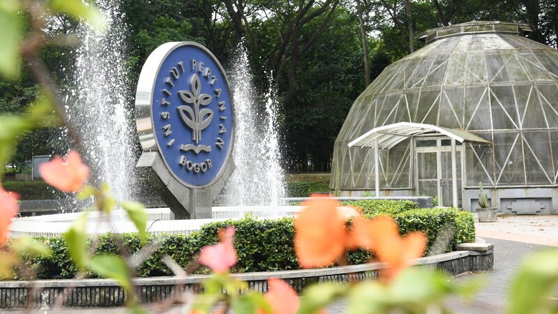 Hasil Seleksi IPB: Panduan Lengkap untuk Calon Mahasiswa Baru