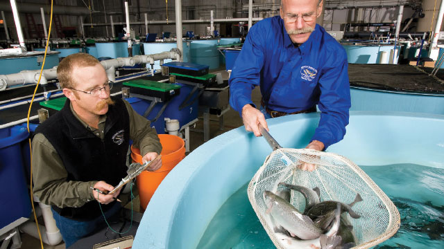 Peluang Wirausaha untuk Lulusan Fakultas Perikanan dan Ilmu Kelautan Universitas Riau