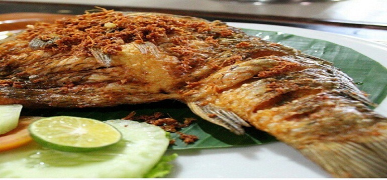 Ikan Mas dan Kecerdasan