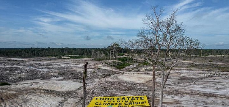 Proyek Food Estate Senilai Rp 108.8 Triliun Gagal, Penggunaan Uang Rakyat yang Tidak Efektif