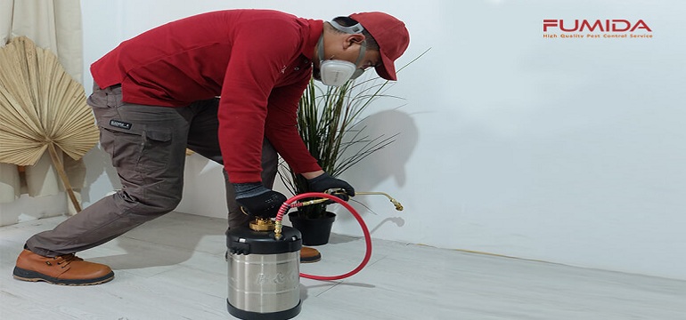 Mengapa Harus Pilih Pest Control yang Berpengalaman