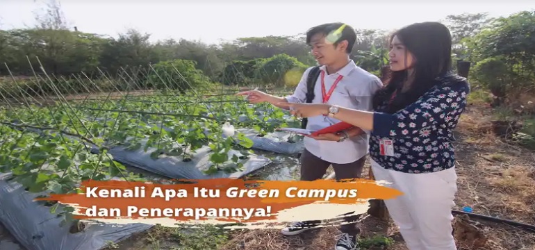 Kampus Hijau di Bandung: Mengapa Memilih Universitas Ramah Lingkungan?